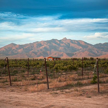 Casa Barbera At Tirrito Farm Villa Willcox Buitenkant foto